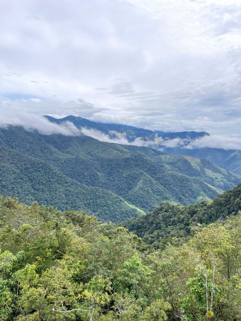 Discover the Secrets of Coffee, Cacao, and Waterfall in Minca - Frequently Asked Questions