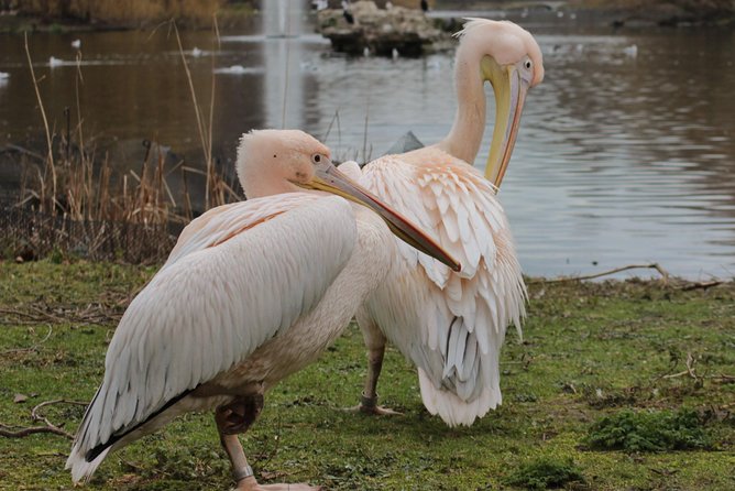 Discover the Secrets of Whitehall - Background