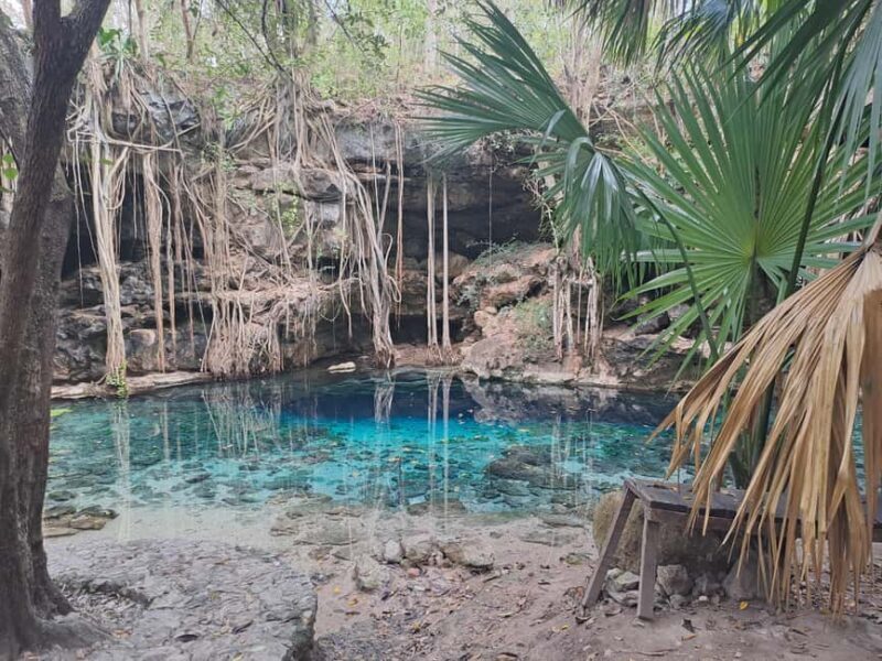 Discover the Serenity: A Tour of the Hidden Cenotes (PVT) - The Itinerary in Detail
