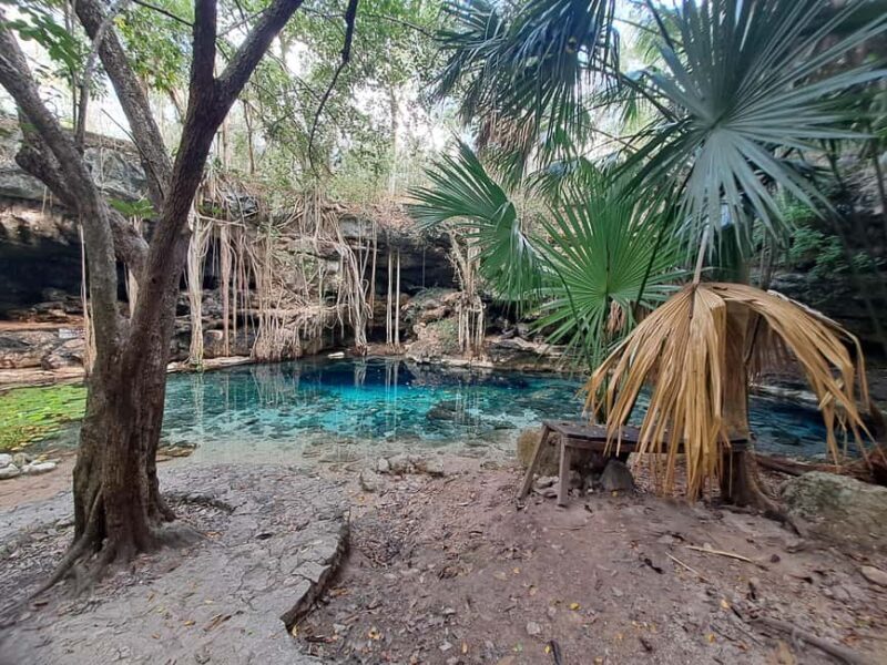 Discover the Serenity: A Tour of the Hidden Cenotes (PVT) - Why This Tour Stands Out