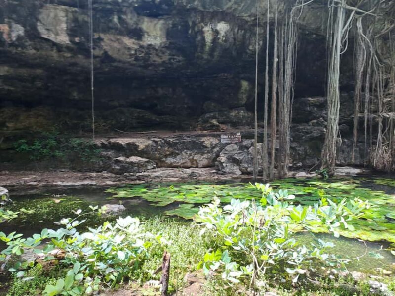 Discover the Serenity: A Tour of the Hidden Cenotes (PVT) - Who Will Enjoy This Tour?
