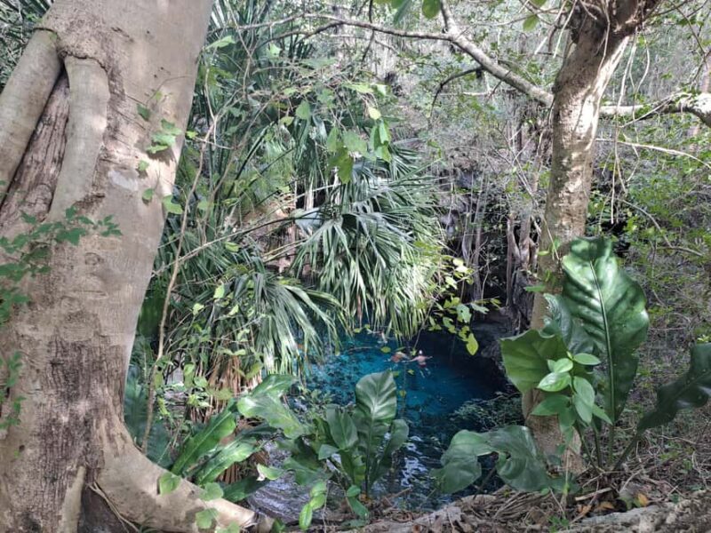 Discover the Serenity: A Tour of the Hidden Cenotes (PVT) - The Sum Up