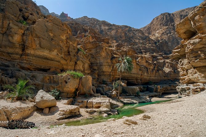 Discover the South & Wadi Shab - Tour Highlights