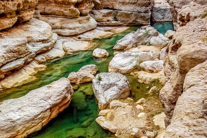 Discover the South & Wadi Shab - Inclusions
