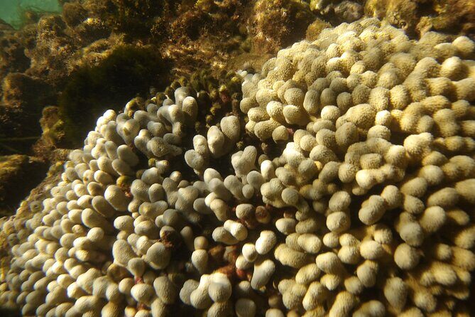 Discover the Splendid Universe of Islands and Seabed - FAQ