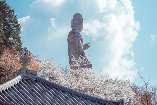 Discover the Timeless Charm and Natural Beauty of Nara - Why This Tour Offers Great Value