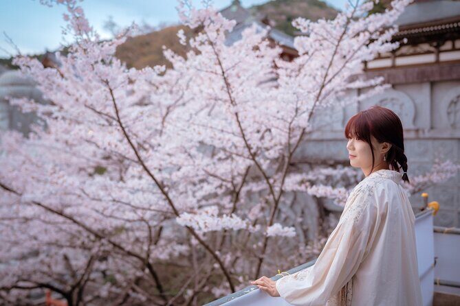 Discover the Timeless Charm and Natural Beauty of Nara - The Sum Up