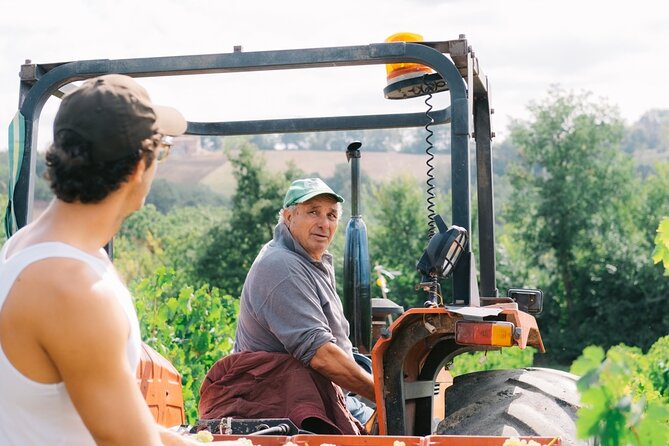 Discover the True Tintilia of Molise, Authentic and Excellent - Tasting Notes and Food Pairings