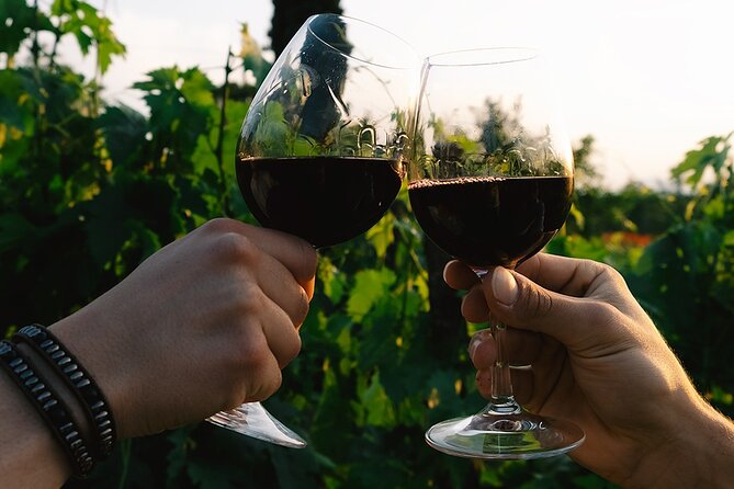 Discover the True Tintilia of Molise, Authentic and Excellent - The Sum Up