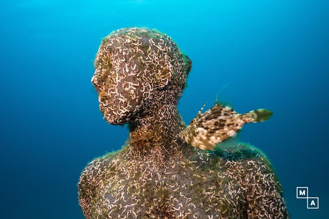 Discover the Underwater World of Lanzarote - Popular Dive Sites in Lanzarote