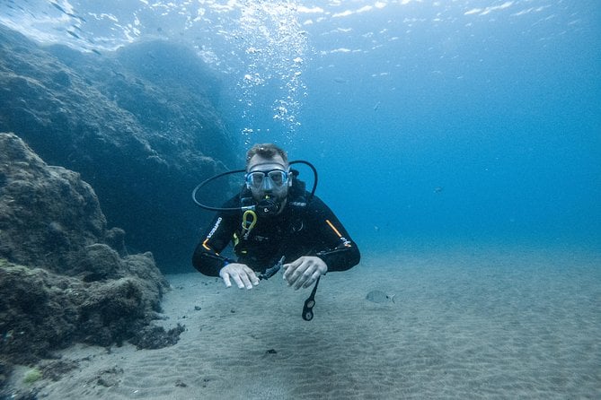 Discover the Underwater World of Lanzarote - Best Time to Dive in Lanzarote