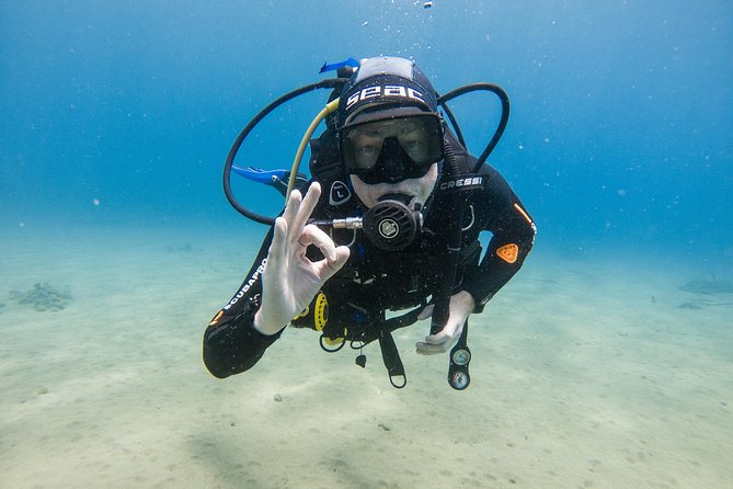 Discover the Underwater World of Lanzarote - Unique Underwater Experiences in Lanzarote