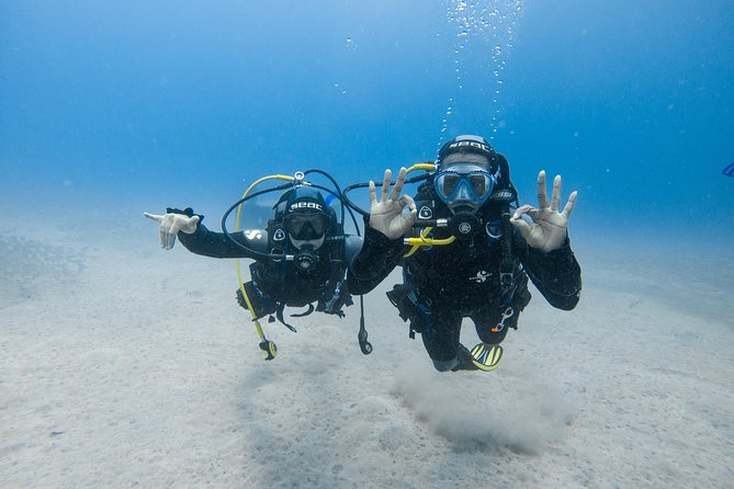 Discover the Underwater World of Lanzarote - Conservation Efforts in Lanzarotes Underwater World