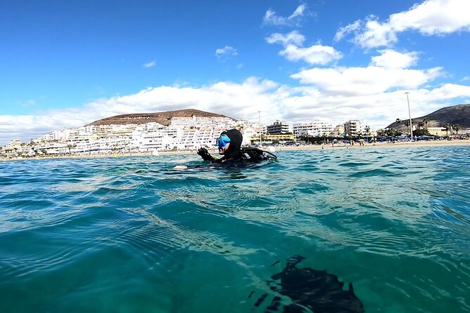 Discover the Underwater World PHOTO and VIDEO for Free - Equipment Needed for Underwater Photography and Videography