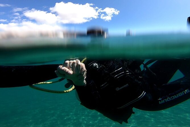 Discover the Underwater World PHOTO and VIDEO for Free - Common Questions