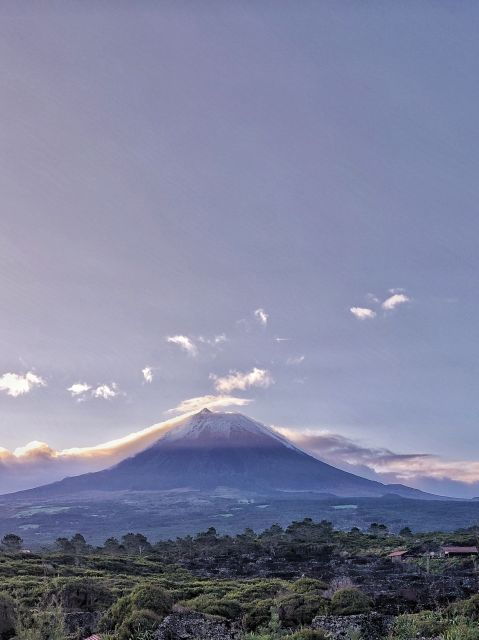 Discover the Unique Pico Island Azores - Centenary Vineyards of Pico Island
