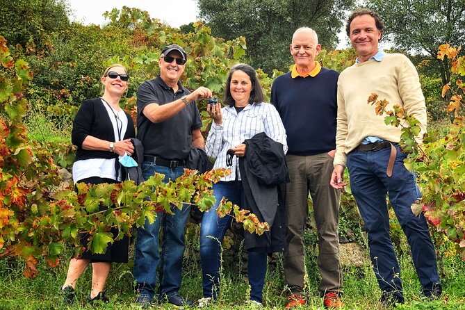 Discover the Unique Wine and Villages of the Sierra De Salamanca - The Sum Up