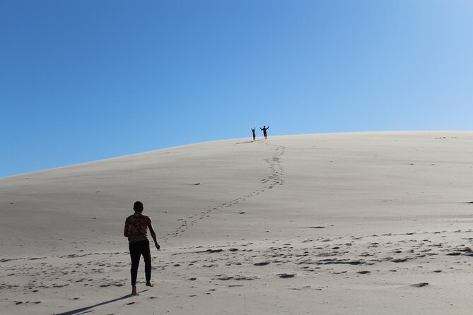 Discover the Unusual Sites of Dakhla in a 4x4 With a Local Guide - Transportation and Amenities