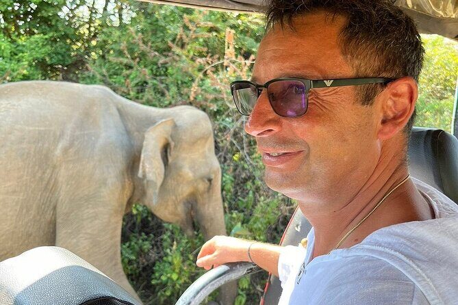 Discover the Wild Magic of Udawalawe National Park - An In-Depth Look at the Udawalawe Safari Experience