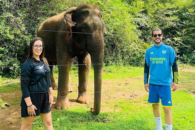 Discover the Wild Magic of Udawalawe National Park - Who Will Appreciate This Tour?