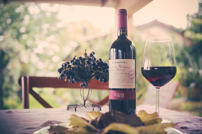 Discover the Wine Producers of Emilia Romagna - Rich History of Winemaking