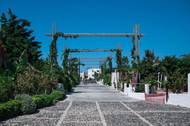 Discover the Wine Santorini Wine Tasting and Vineyard Tour - Inclusions