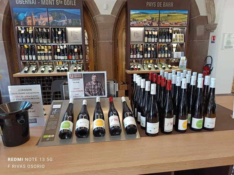Discover the Wines of Alsace and a brief introduction to Strasbourg. - A Quick Look at the Experience