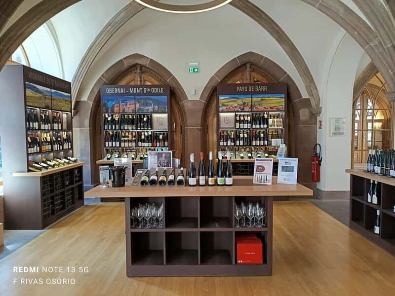 Discover the Wines of Alsace and a brief introduction to Strasbourg. - Authentic Insights from Reviews