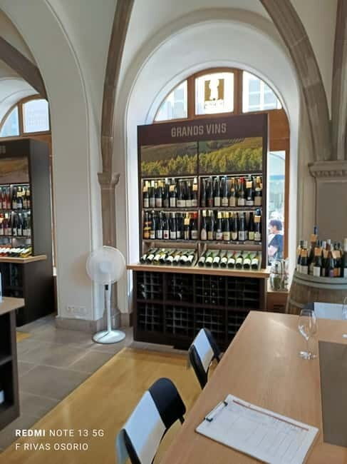 Discover the Wines of Alsace and a brief introduction to Strasbourg. - Final Thoughts