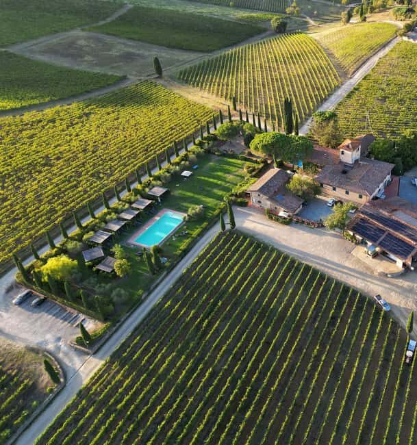 Discover the wines of Chianti Classico with a visit and tasting at Viticcio. - Good To Know