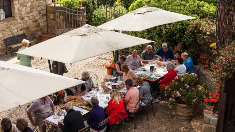 Discover the wines of Chianti Classico with a visit and tasting at Viticcio. - What the tour involves in detail