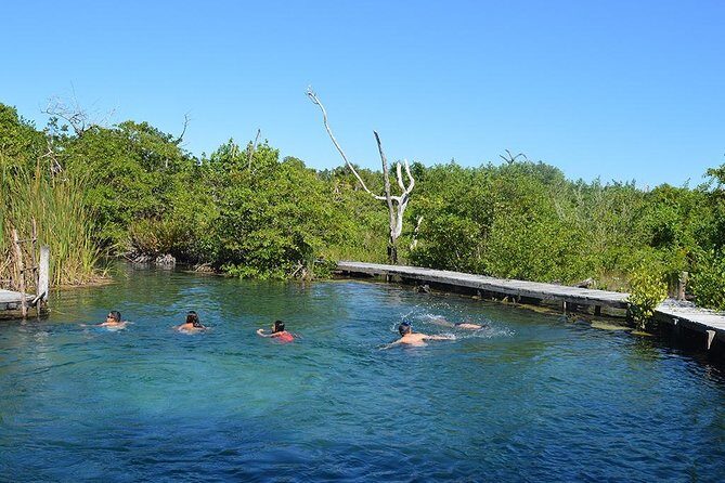 Discover the Wonders of Holbox, Cenote and Passion Island. Transport included - What Do the Reviews Say?