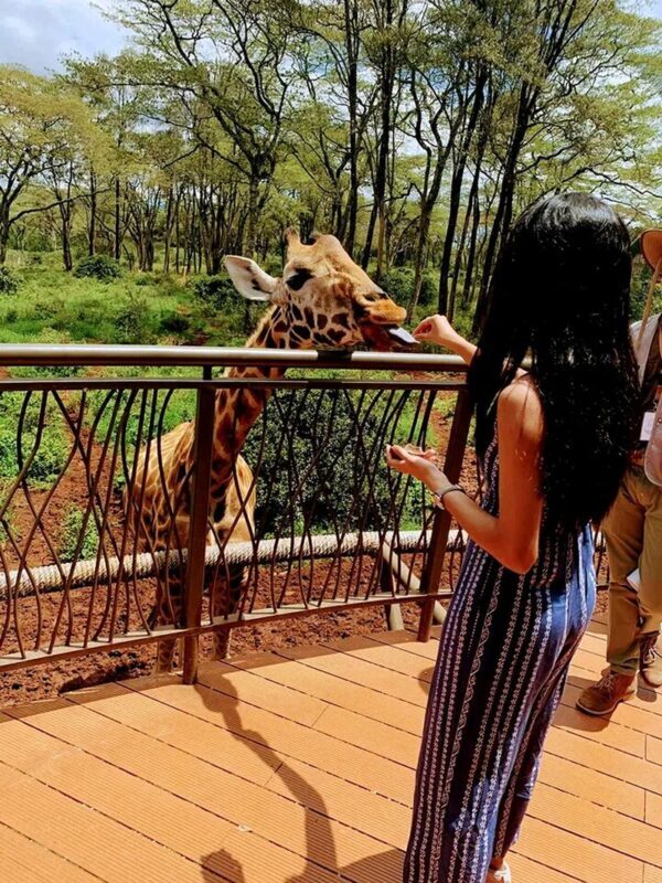 Discover the Wonders of Nguuni Nature Wildlife Sanctuary. - A nature break on Mombasa’s doorstep