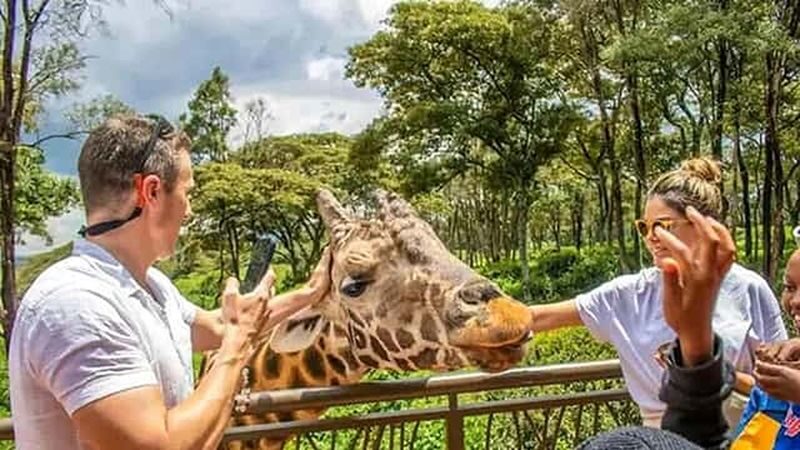 Discover the Wonders of Nguuni Nature Wildlife Sanctuary. - Should you book this tour?