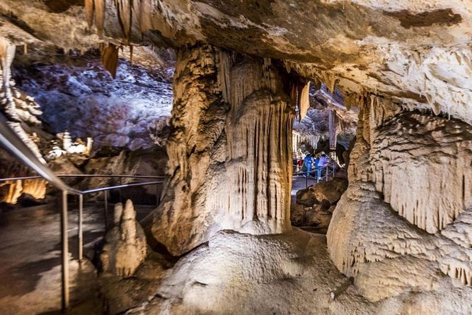 Discover the World Heritage Treasures of the Blue Mountains Tour - Cancellation Policy