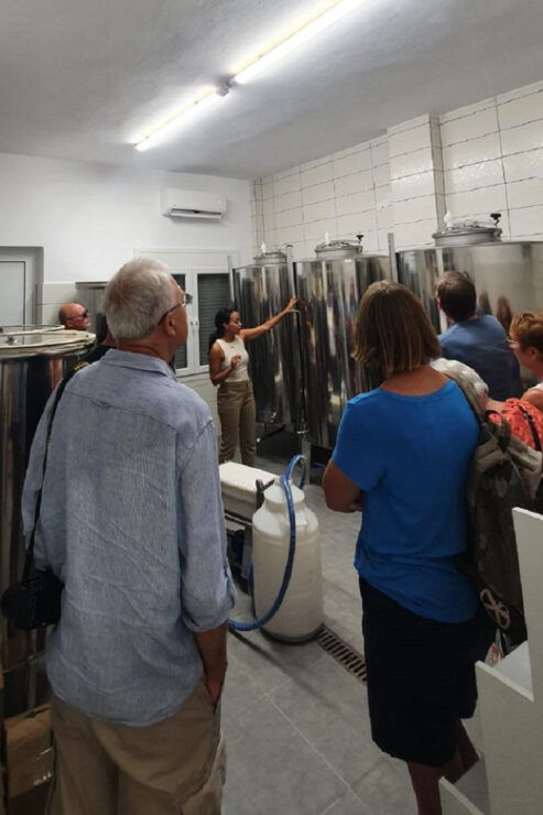 Discover the World of Extra Virgin Olive Oil - The History of Olive Oil