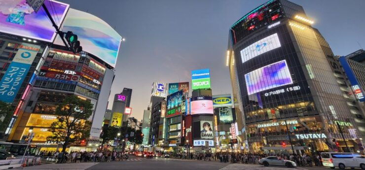 Discover Tokyo in a Day: From Tradition to Trend - Personalized Journey Tailored to You