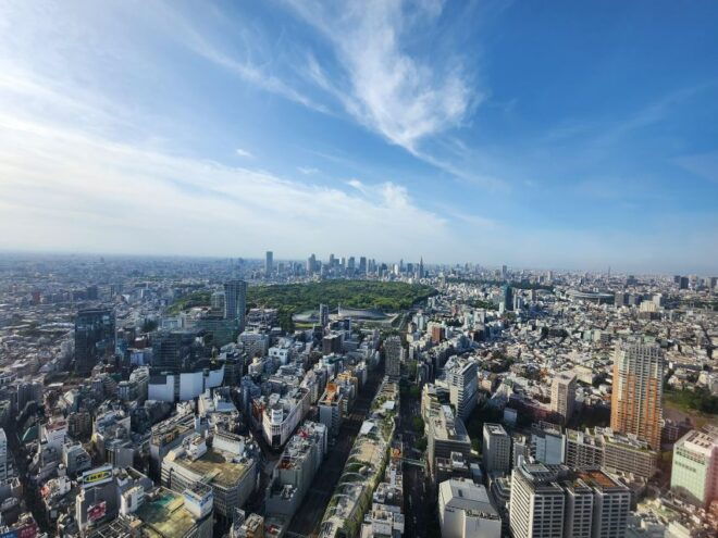 Discover Tokyo in a Day: From Tradition to Trend - Walking Tour and Public Transport Discovery