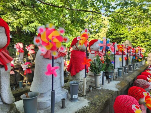 Discover Tokyo in a Day: From Tradition to Trend - Common Questions