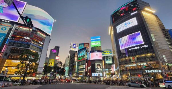 Discover Tokyo in a Day: From Tradition to Trend - The Sum Up