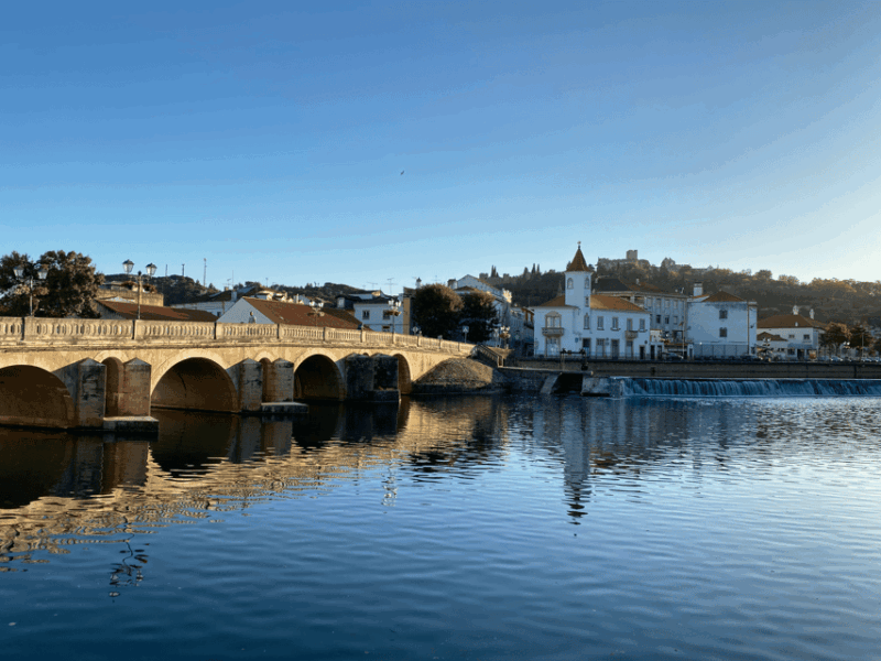 Discover Tomar's History with a Local Guide and Enjoy Tapas! - Good To Know