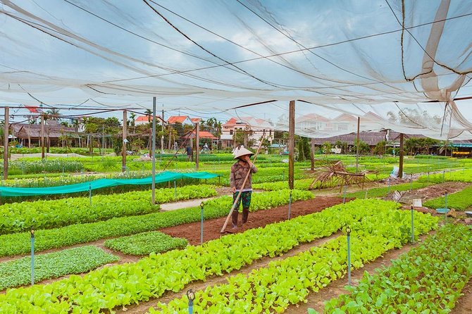 Discover Tra Que Vegetable Gardens - Full Day - Guided Tour of Tra Que Vegetable Gardens