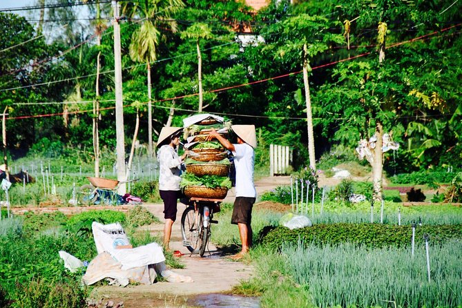 Discover Tra Que Vegetable Gardens - Full Day - Hands-On Experience in Farming at Tra Que