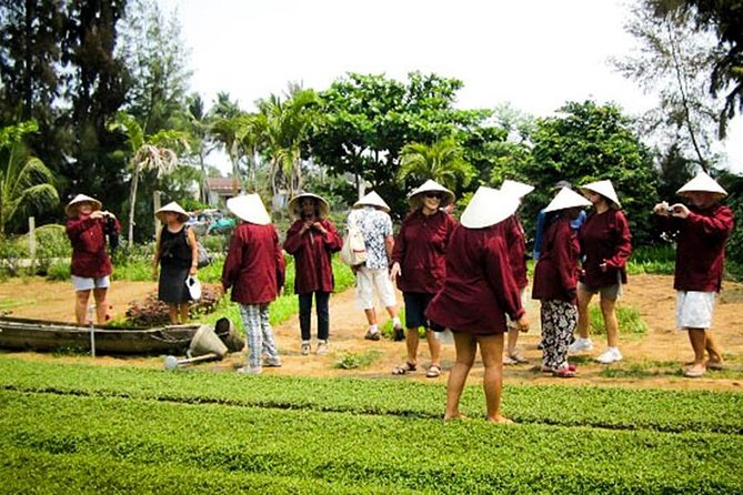 Discover Tra Que Vegetable Gardens - Full Day - The Sum Up