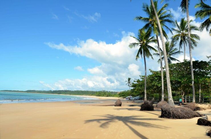 Discover Trancoso: Unforgettable Guided Tour - Good To Know