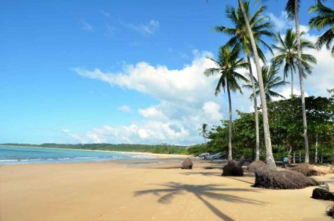 Discover Trancoso: Unforgettable Guided Tour - Transportation Options