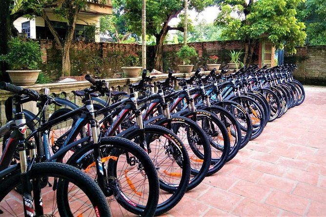 Discover Trang An Natural World Heritage, Bich Dong Pagoda, Cycling Day Tour - Exploring Bich Dong Pagoda