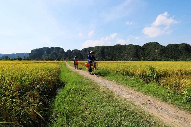 Discover Trang An Natural World Heritage, Bich Dong Pagoda, Cycling Day Tour - Exploring Trang An by Bus, Boat, and Bike