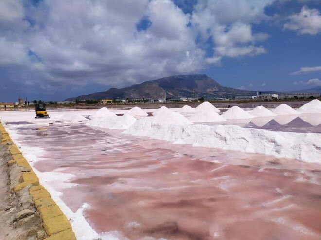 Discover Trapanis Saltpans With an E-Bike Tour - Customer Reviews