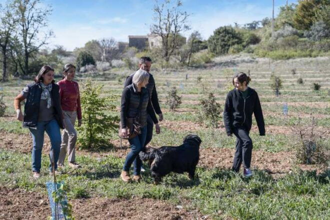 Discover Truffles From the Farm to the Fork - Truffle Cooking Class